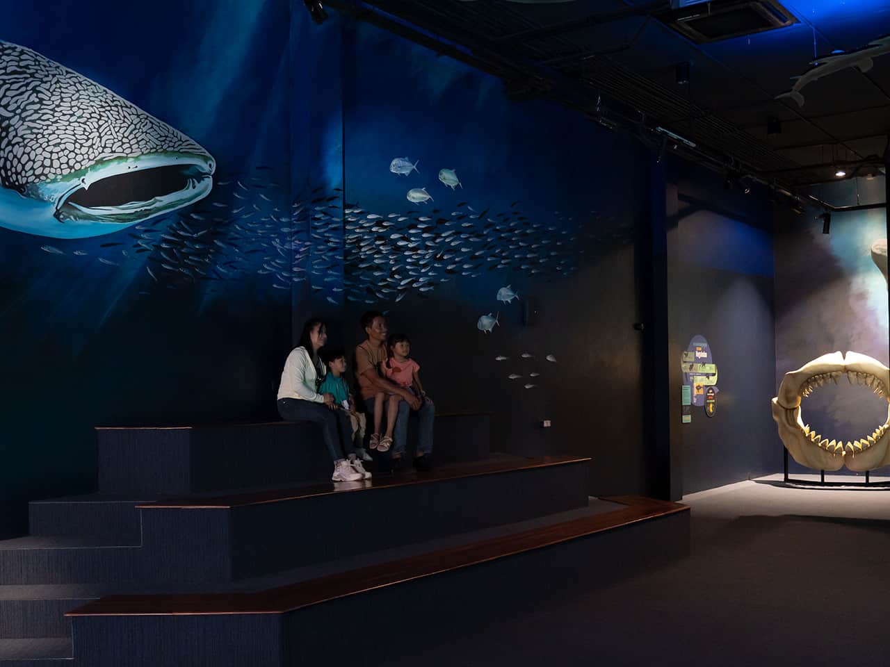 Colorful underwater mural at Angkor Wildlife & Aquarium featuring marine life and ocean scenes.