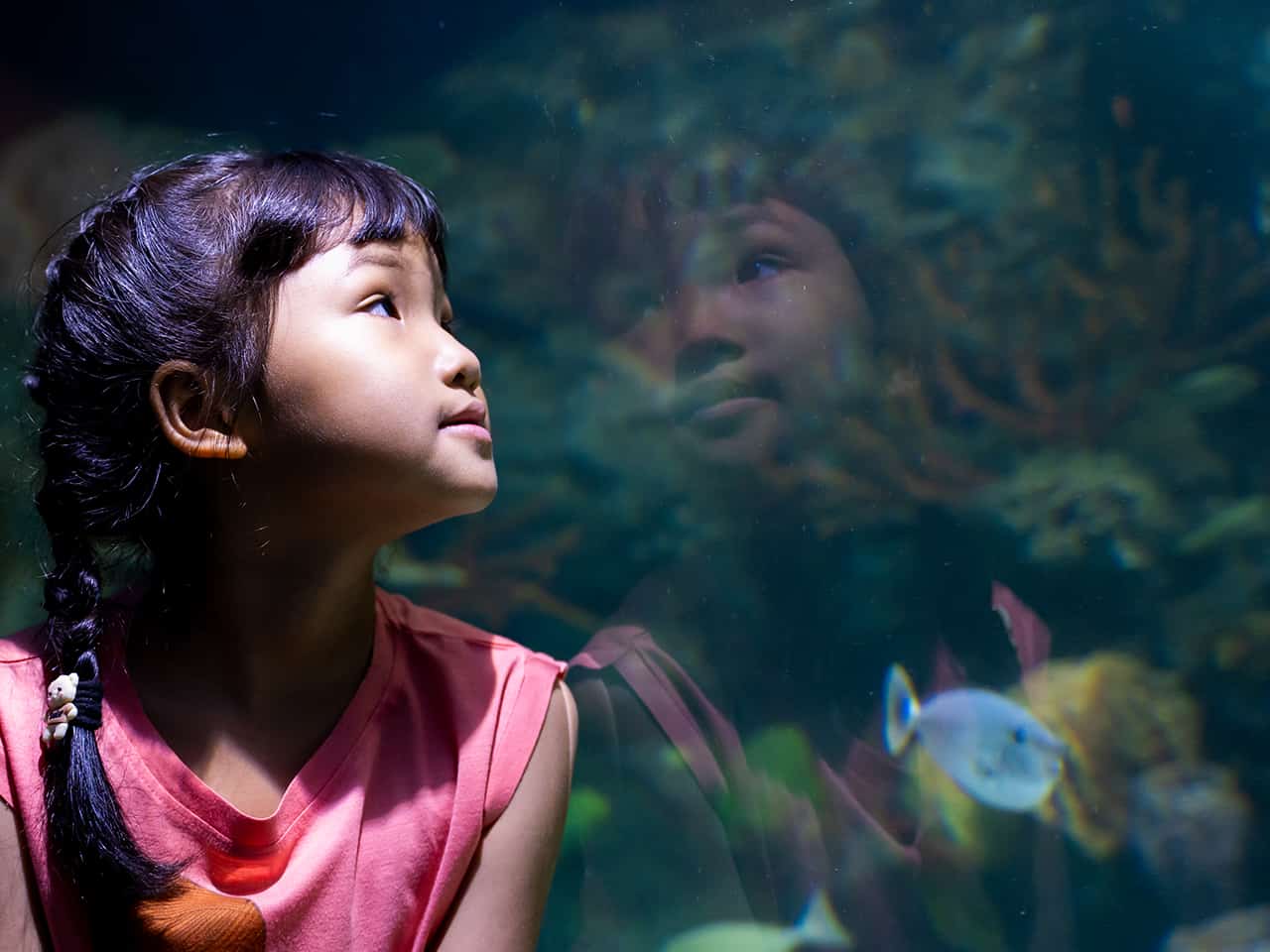 Ocean World