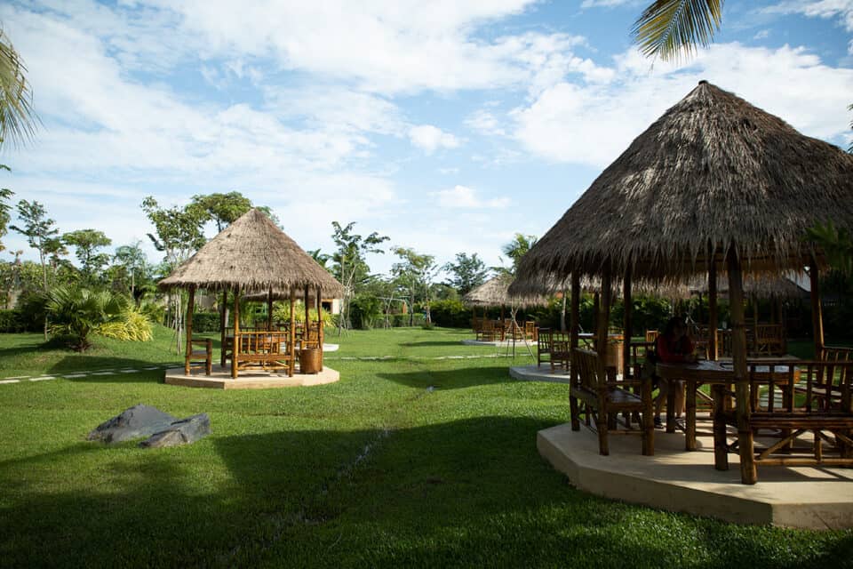 Picnic Area