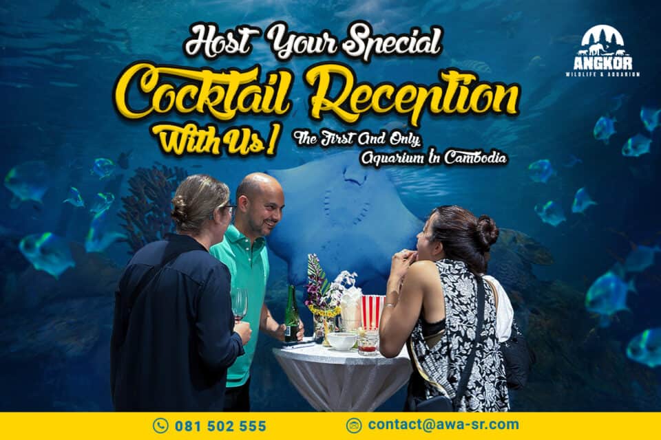 Underwater aquarium exhibit featuring colorful marine life at Angkor Wildlife & Aquarium in Cambodia.