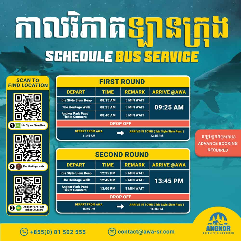 Free Bus Schedule Service to Angkor Wildlife & Aquarium