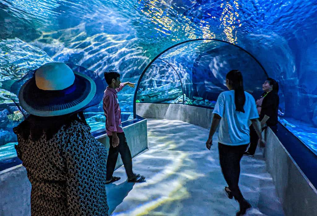 12 Things to Do Siem Reap, Cambodia - Visit  Aquarium in Cambodia