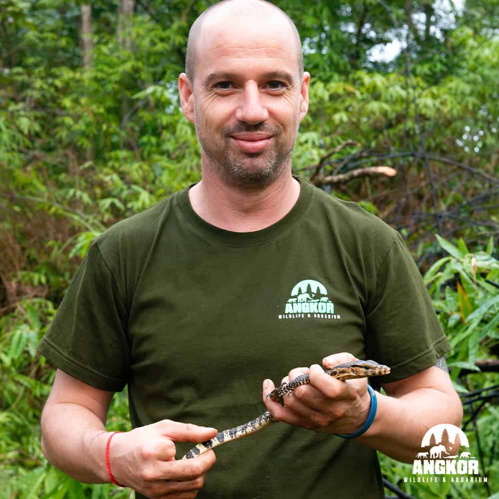Wildlife expert holding a snake at Angkor Wildlife & Aquarium in Cambodia, showcasing local reptiles.