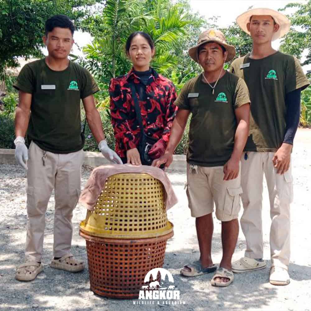 Protected wildlife conservation at Angkor Wildlife & Aquarium.