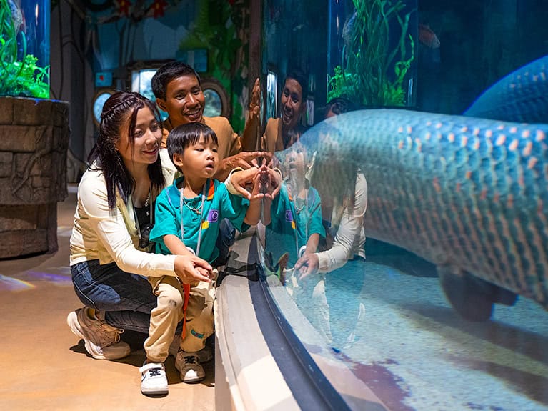 Angkor Wildlife and Aquarium Engage and Learn