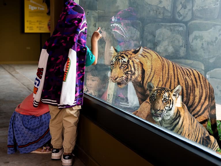 Angkor Wildlife Park