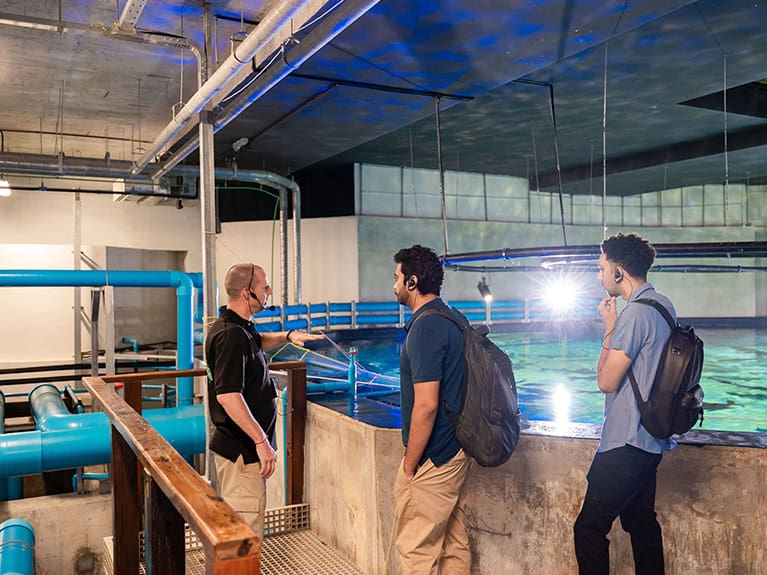 AWA Special Experiences and Behind The Scenes Tours