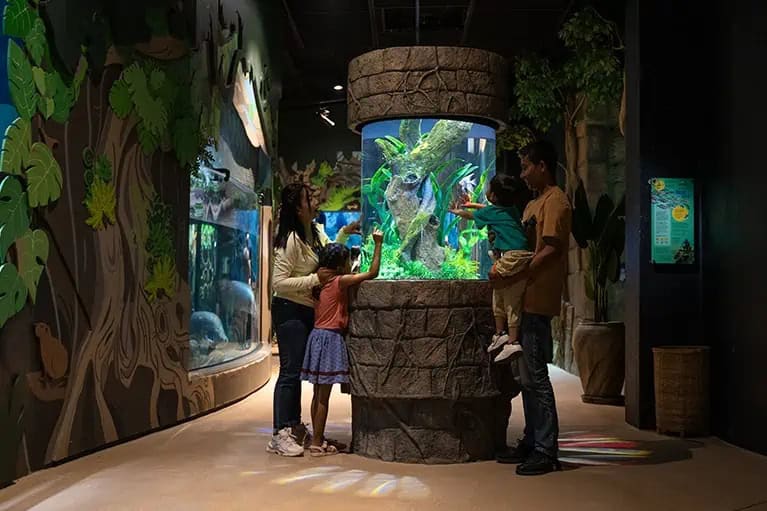 8 Things to do in Siem Reap with Kids