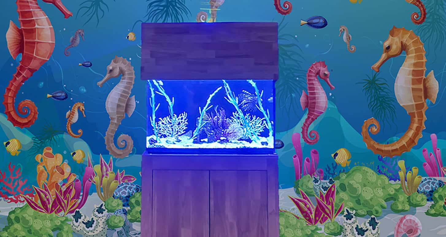 Colorful underwater seahorse and coral aquarium display at Angkor Wildlife & Aquarium.