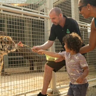 Exclusive Half Day Private Tour of AWA