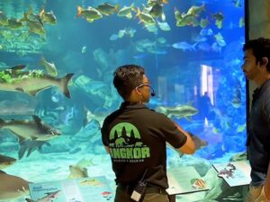 School of sharks swimming in large aquarium with visitors observing and learning about marine life.