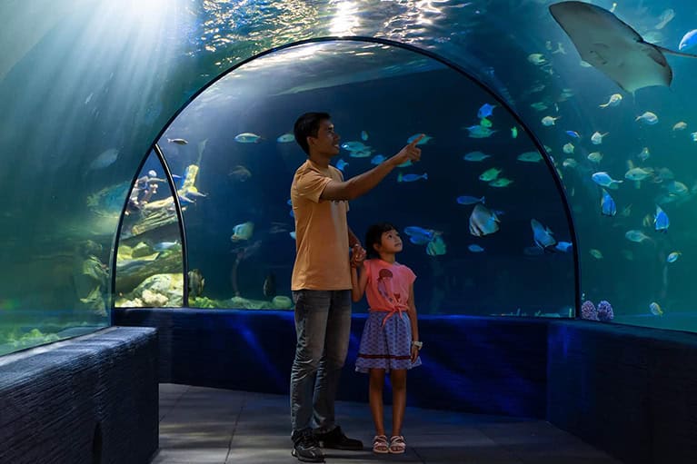 Aquarium