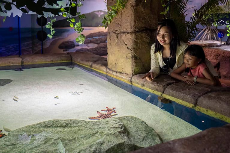 Angkor wildlife aquarium snake exhibit with children observing sea star and aquatic animals.