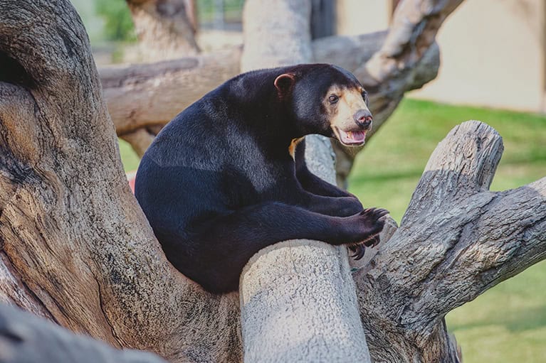 Wildlife Park