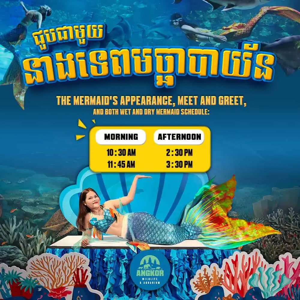 Colorful mermaid and underwater scene at Angkor Wildlife & Aquarium in Siem Reap, Cambodia.