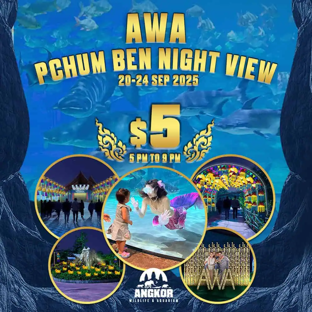 Colorful night view of Angkor Wildlife & Aquarium with aquatic life and festive lights.