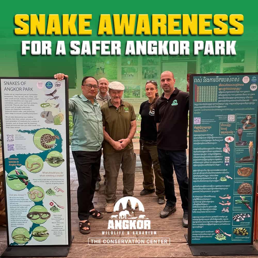 Snake Awareness for Safer Angkor Park.
